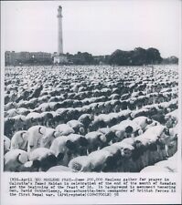 LG841 1975 Original Photo FIGHT FOR INDEPENDENCE Muslim Rebels South Philippines