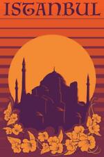 Istanbul Hagia Sophia Orange Retro Travel Mural Poster 36x54 inch