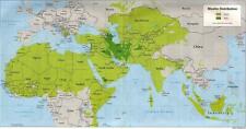 MUSLIM DISTRIBUTION WORLD MAP GLOSSY POSTER PICTURE PHOTO sunni shia islam 1572