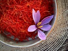 Saffron Zaffron  Afghanistan Highest Quality Spice 2 Gram