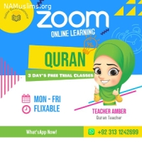 Online Quran Instructor