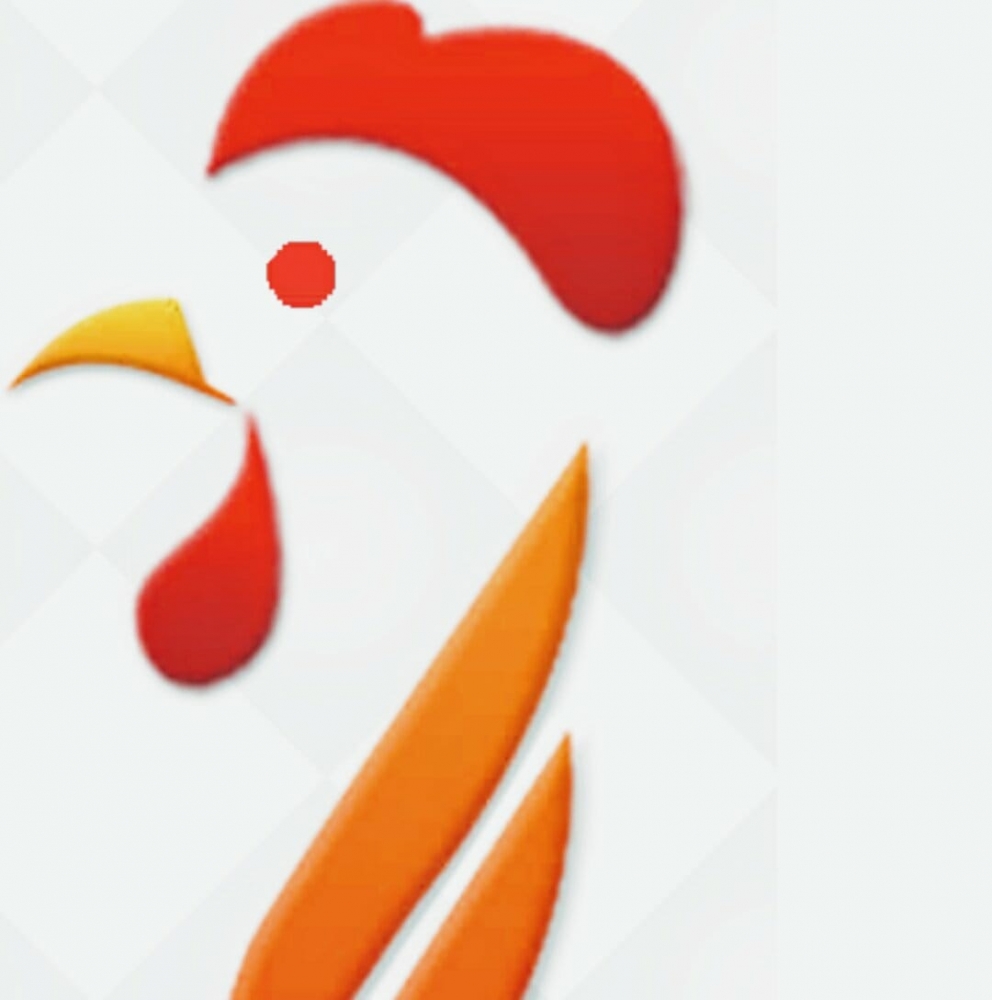 Laziz Broast & Mix Grill Laziz Broast & Mix Grill